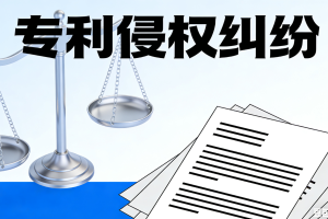 专利侵权纠纷中惩罚性赔偿数额的裁量因素研究